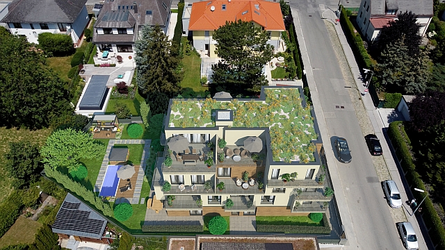 The Green 14 10.jpg