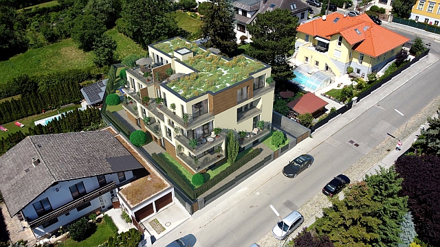 The Green 14 9.jpg